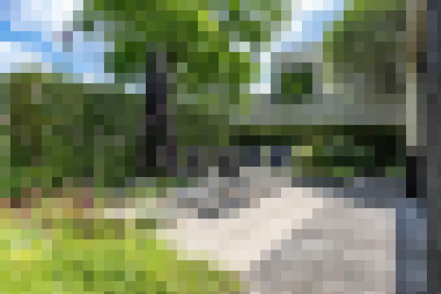 Veenweg 2 Groningen thumbnail 7