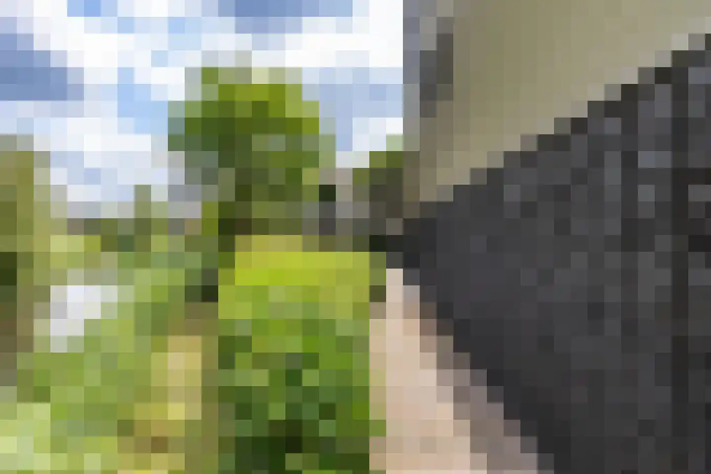 Veenweg 2 Groningen thumbnail 8