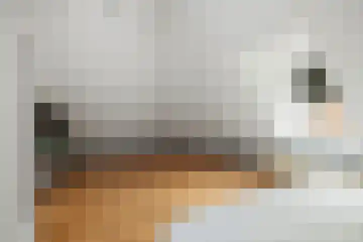 Veenweg 20 Deventer thumbnail 15