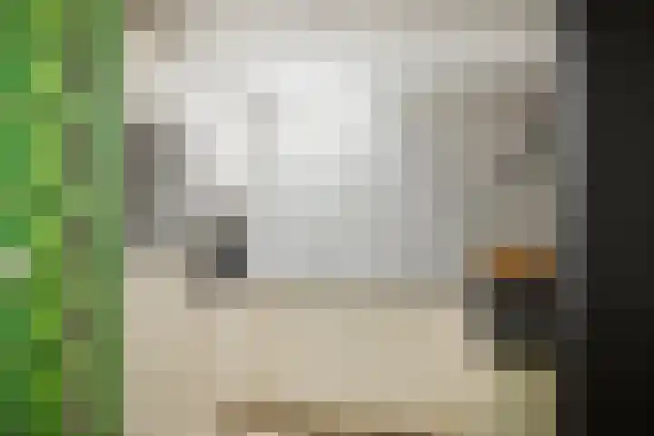 Veenweg 20 Deventer thumbnail 7