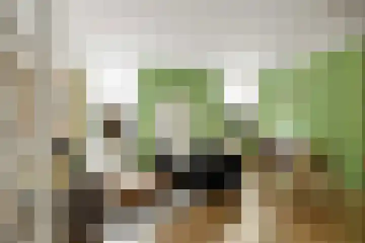 Veenweg 20 Deventer thumbnail 8