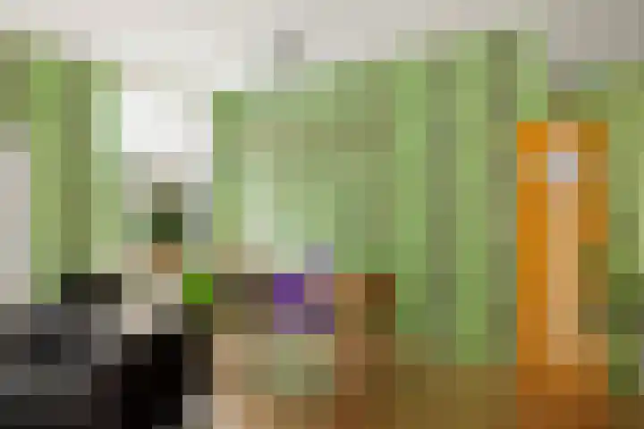 Veenweg 20 Deventer thumbnail 9