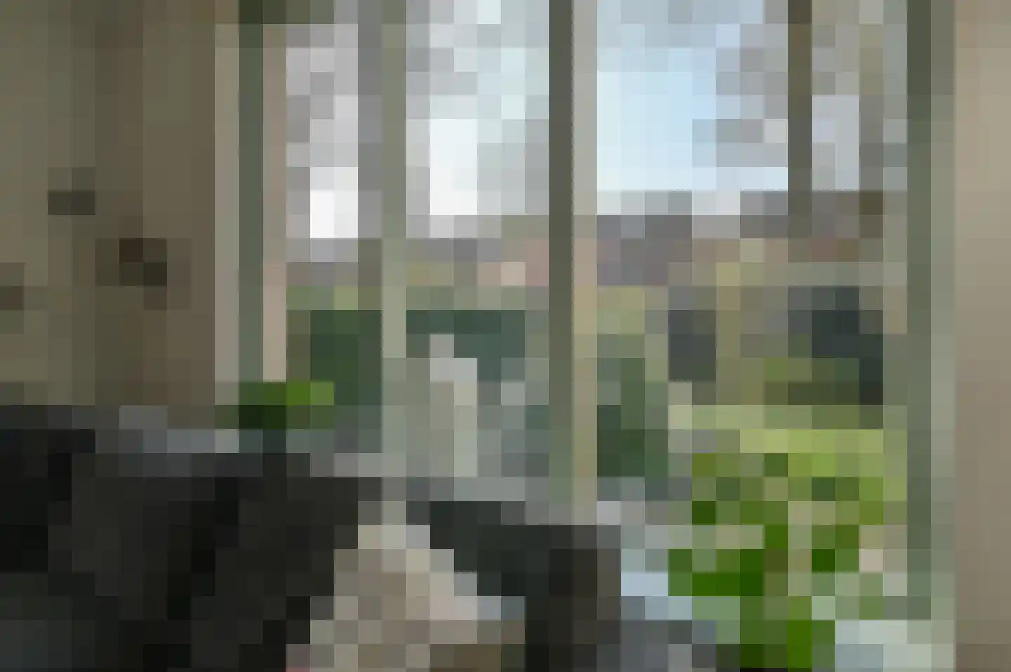 Veenweg 20 Wilnis thumbnail 13