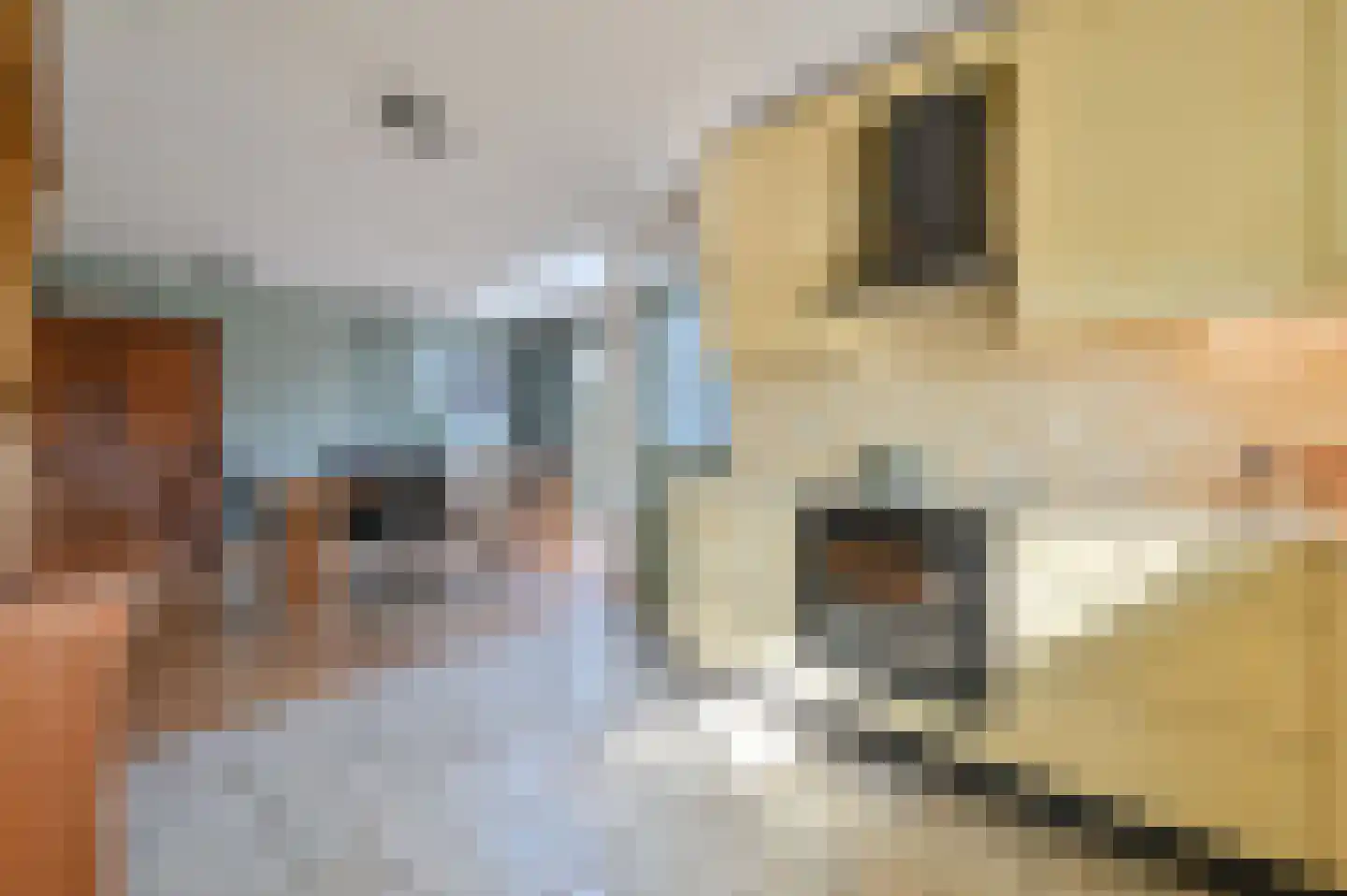 Veenweg 20 Wilnis thumbnail 20