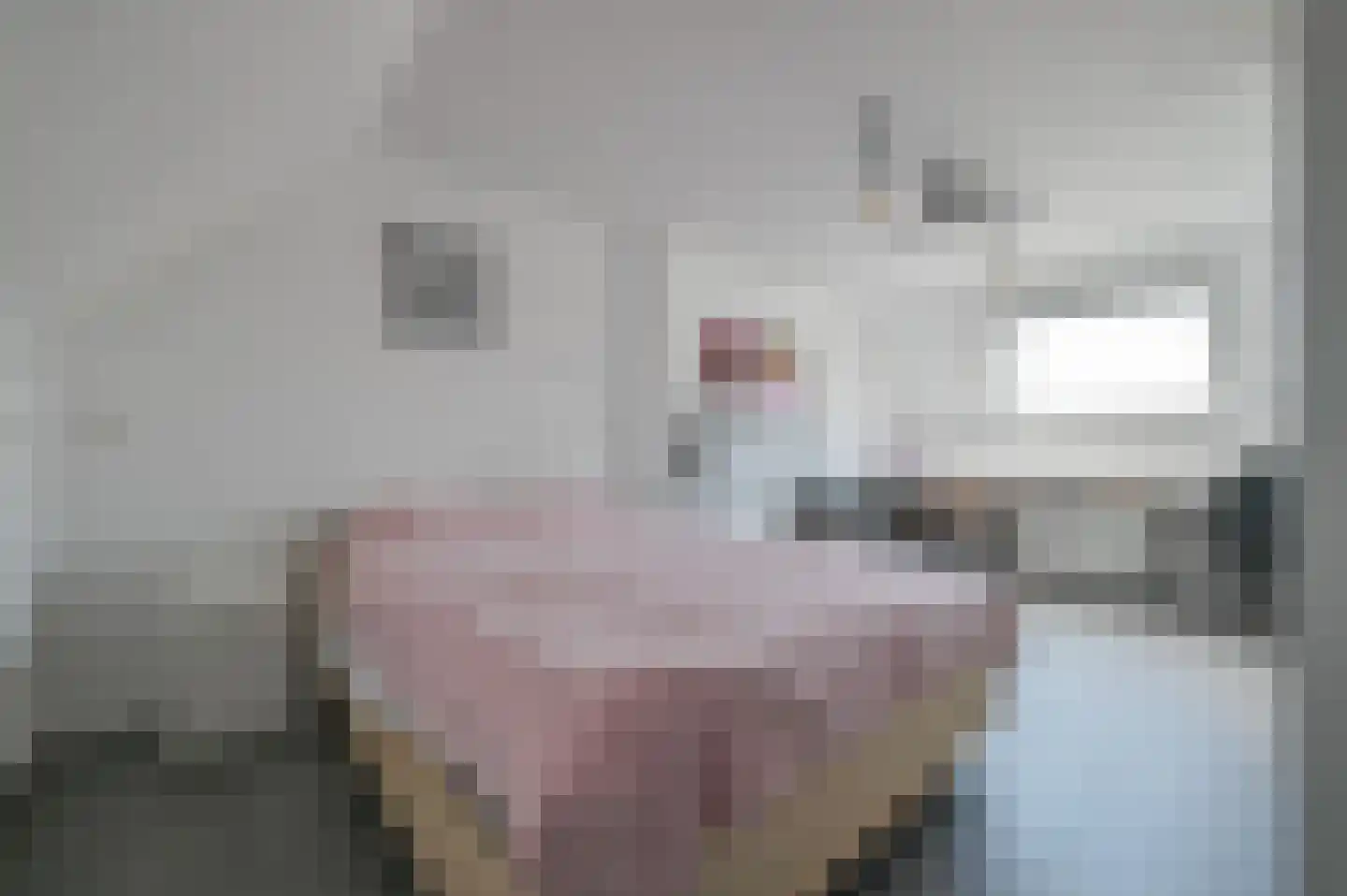 Veenweg 20 Wilnis thumbnail 31
