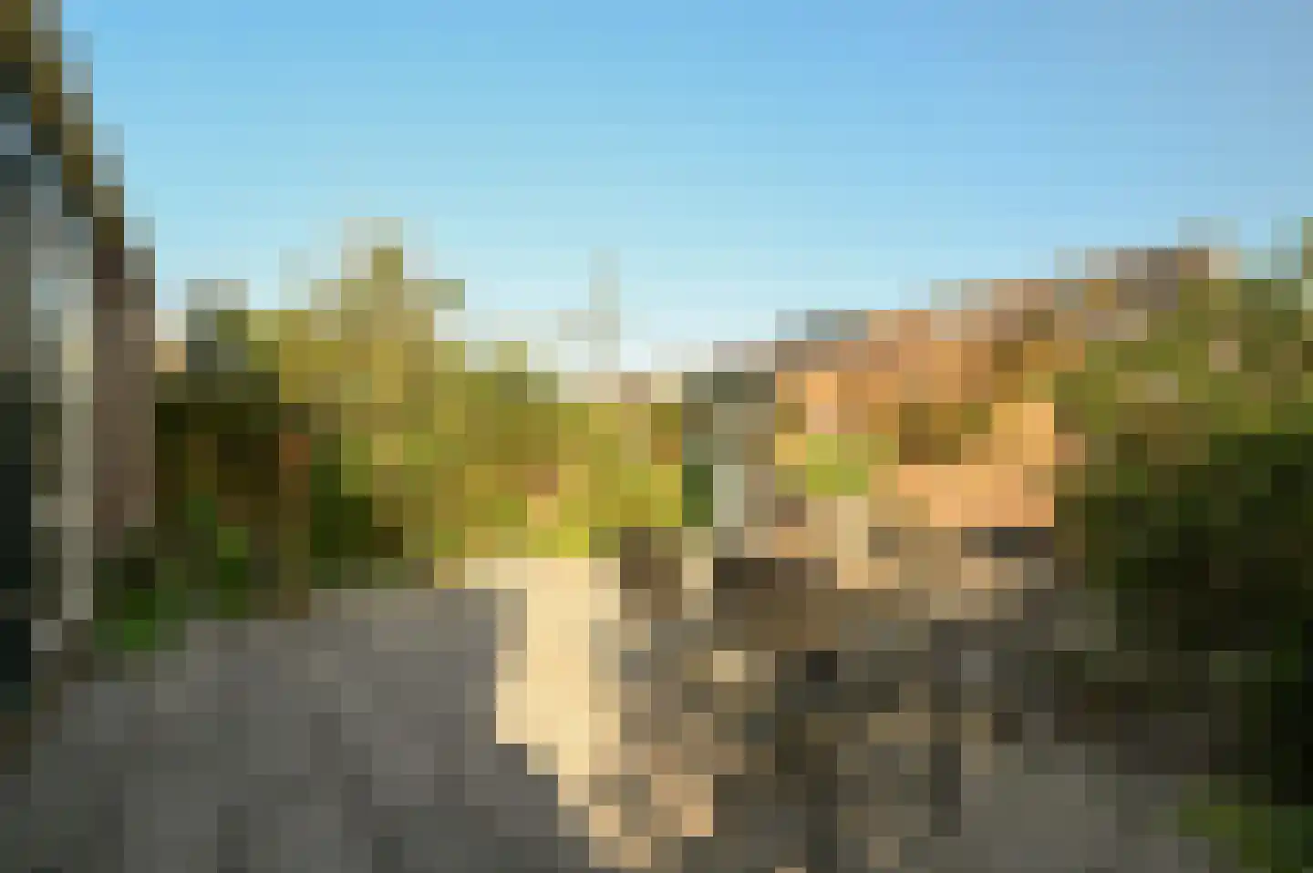 Veenweg 20 Wilnis thumbnail 34