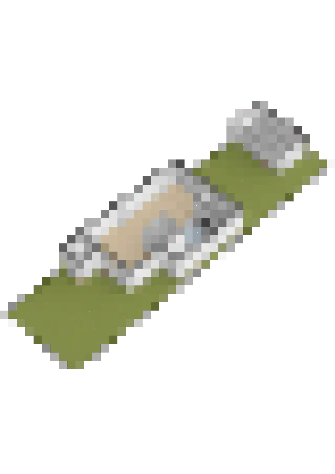 Veenweg 20 Wilnis thumbnail 40