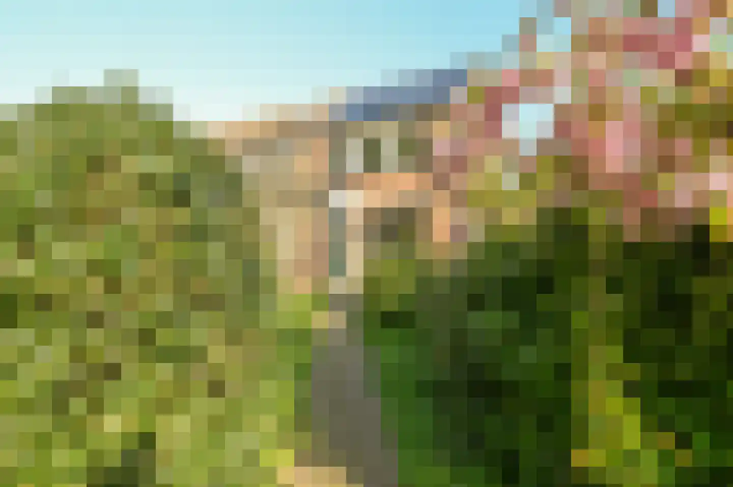 Veenweg 20 Wilnis thumbnail 8