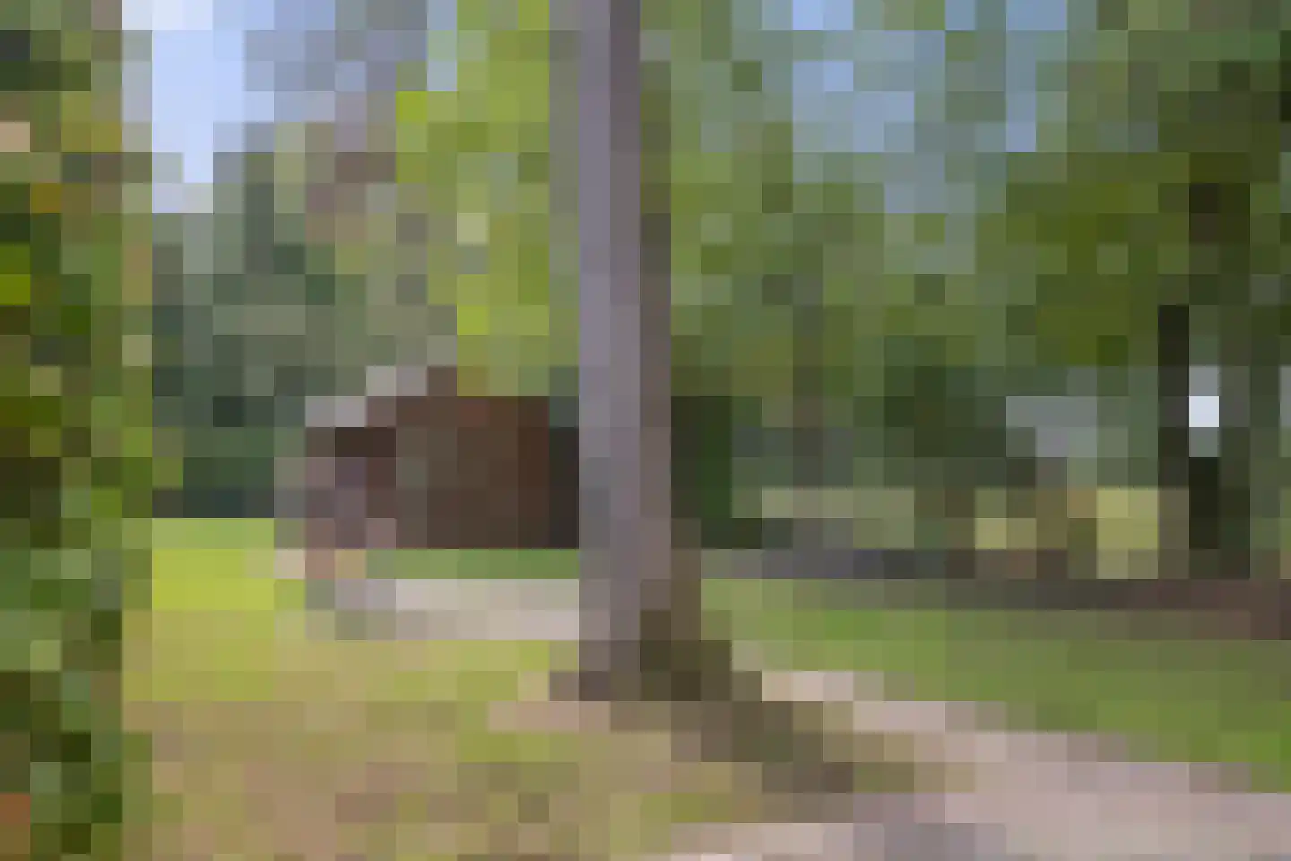Veenweg 22 Emmen thumbnail 49