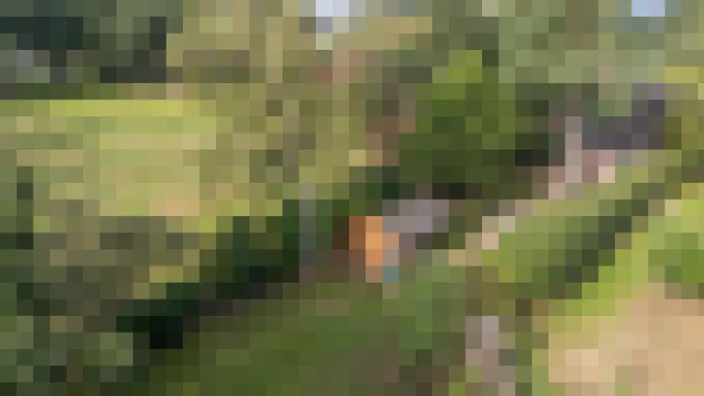 Veenweg 22 Emmen thumbnail 5