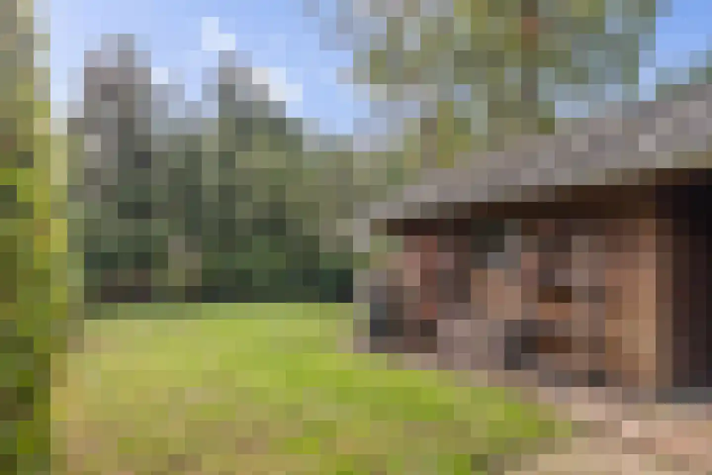 Veenweg 22 Emmen thumbnail 50