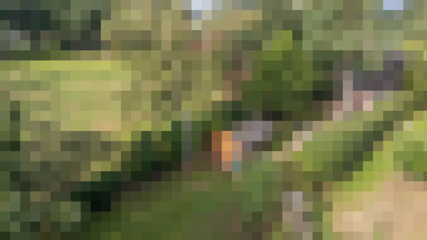 Veenweg 22 Emmen thumbnail 52