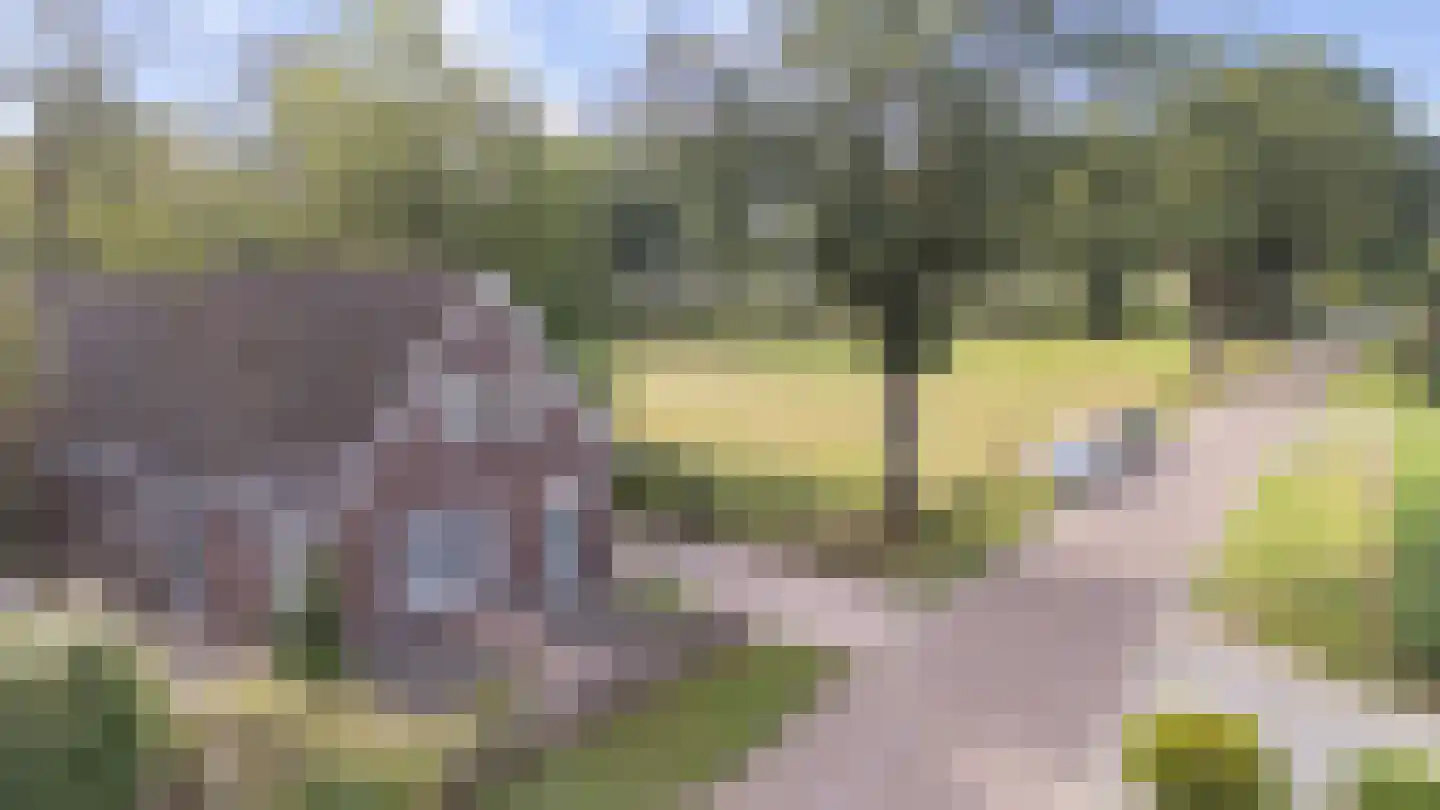 Veenweg 22 Emmen thumbnail 53