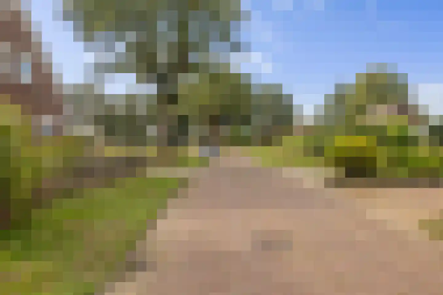 Veenweg 22 Emmen thumbnail 54