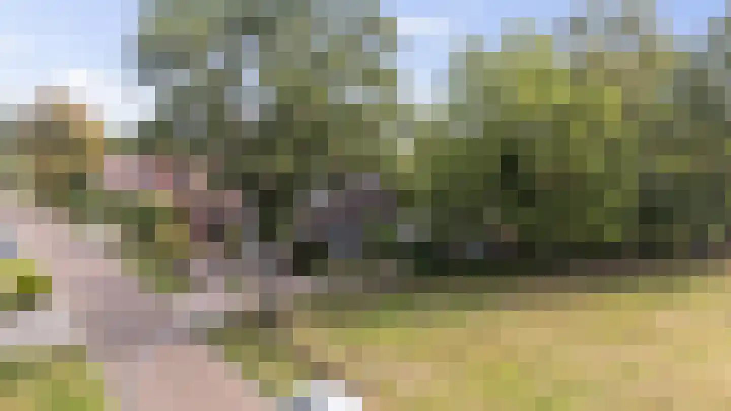 Veenweg 22 Emmen thumbnail 55