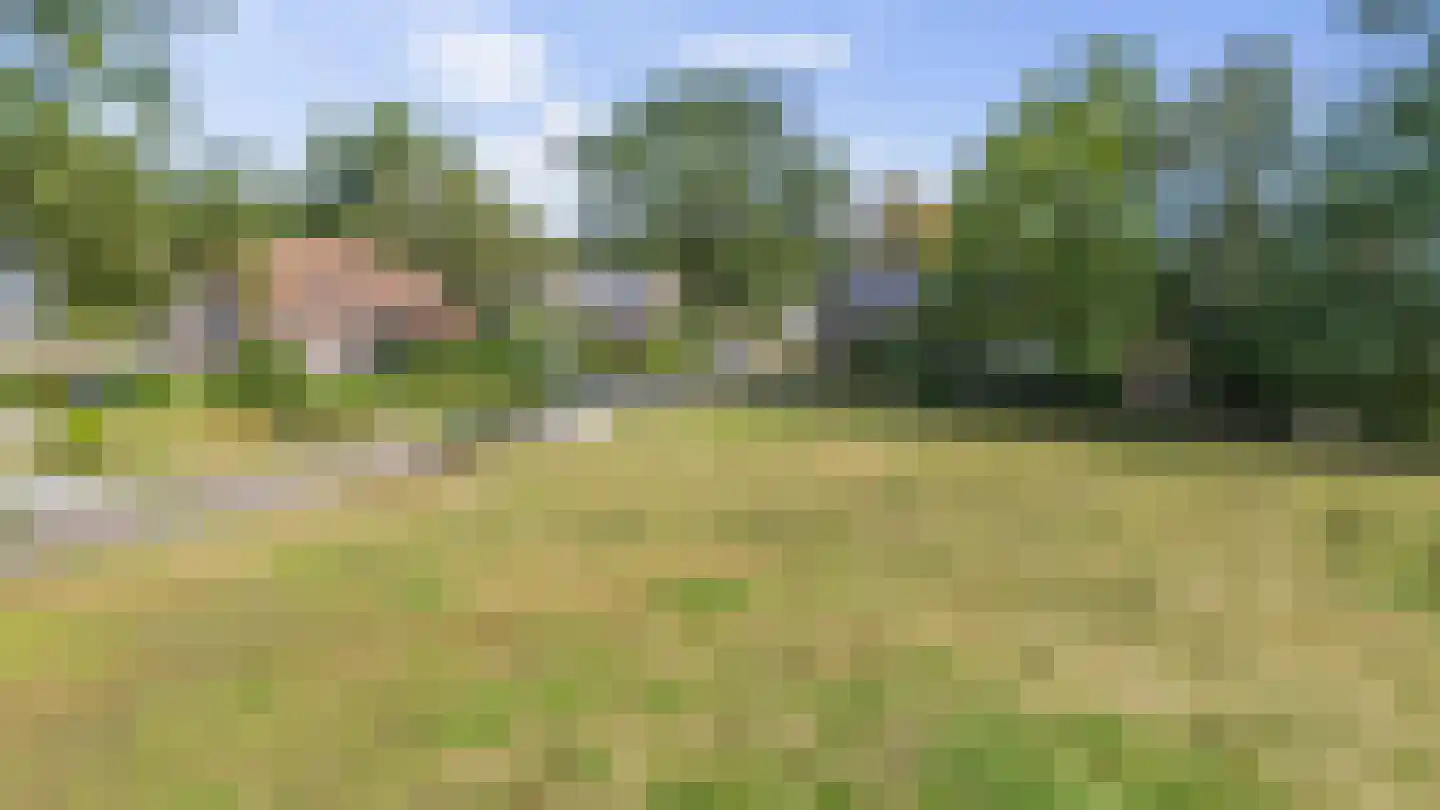 Veenweg 22 Emmen thumbnail 56