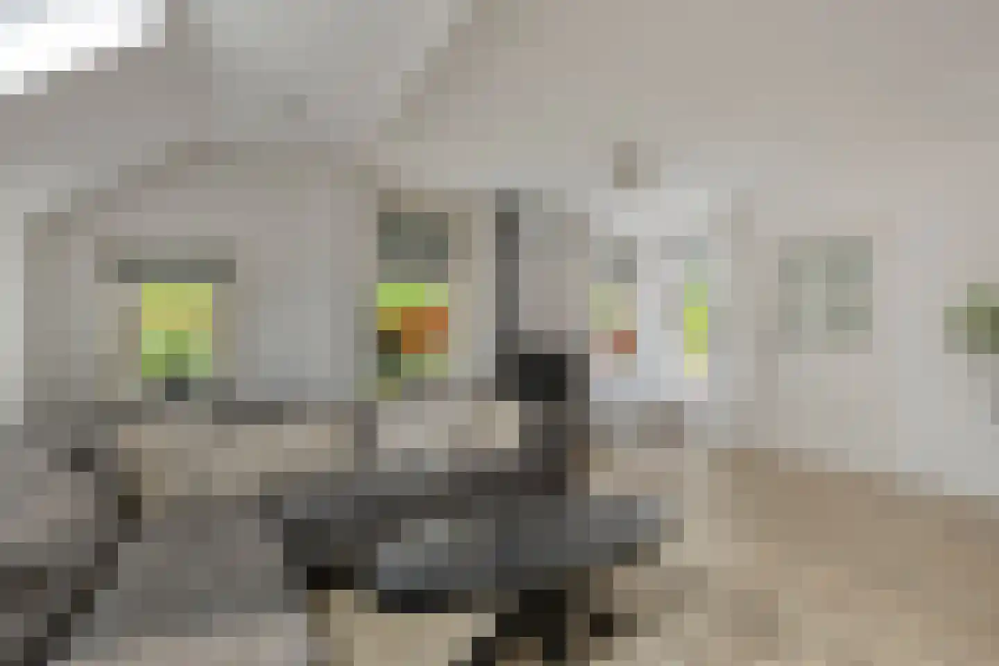 Veenweg 23 Beerta thumbnail 13