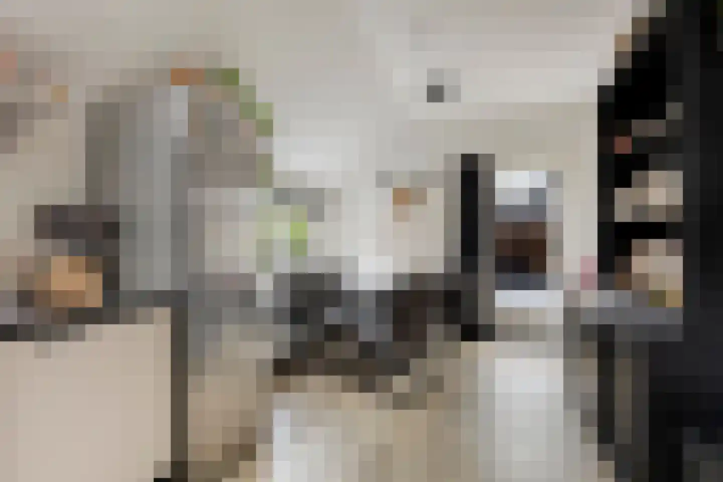 Veenweg 23 Beerta thumbnail 17