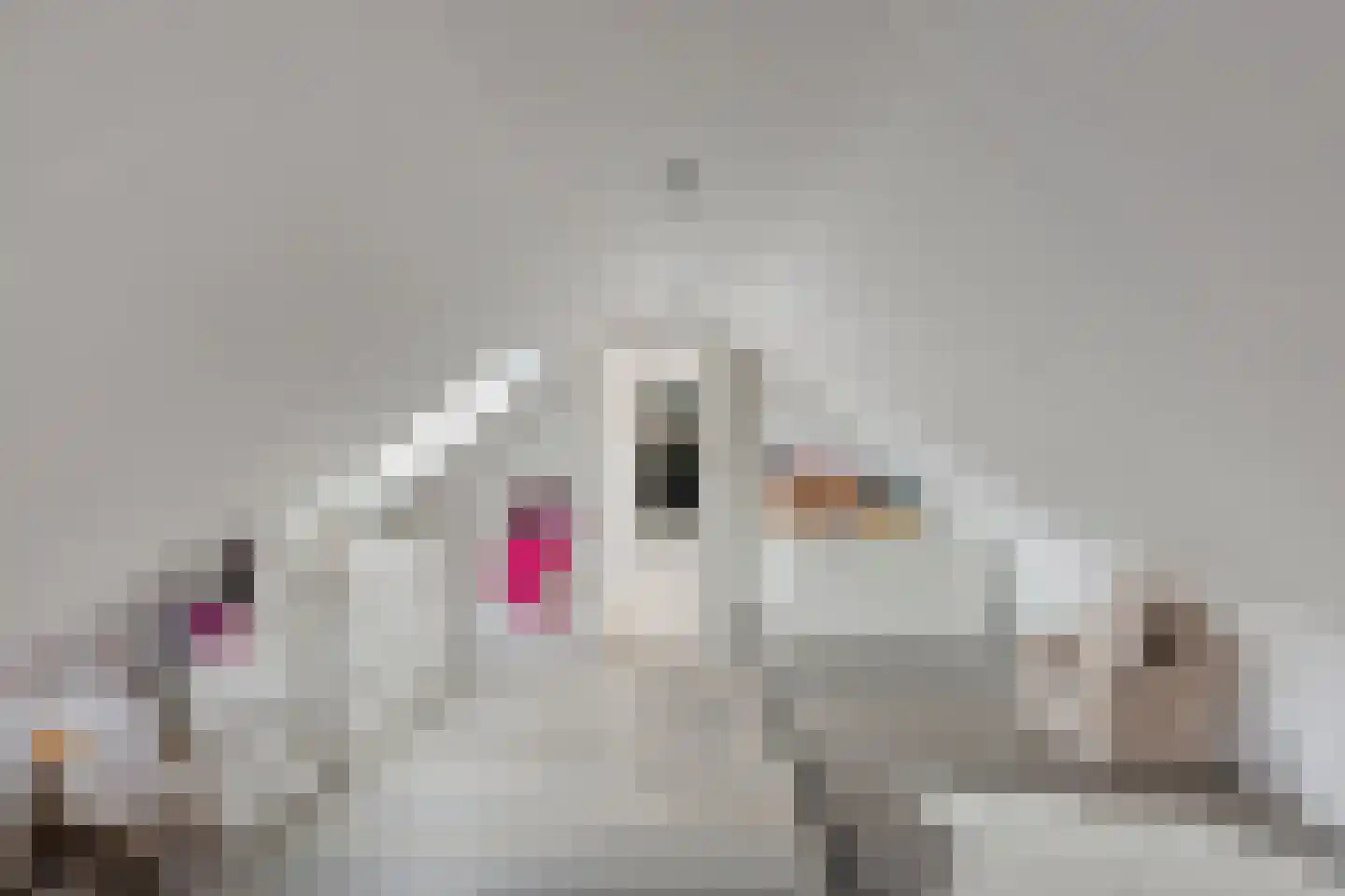 Veenweg 23 Beerta thumbnail 23