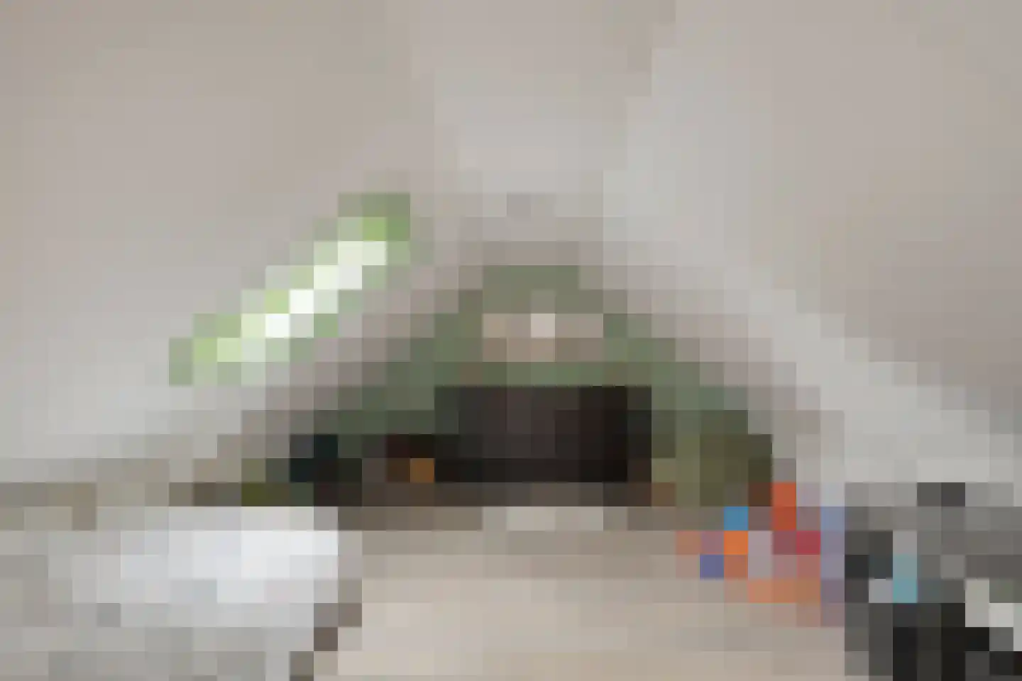 Veenweg 23 Beerta thumbnail 25