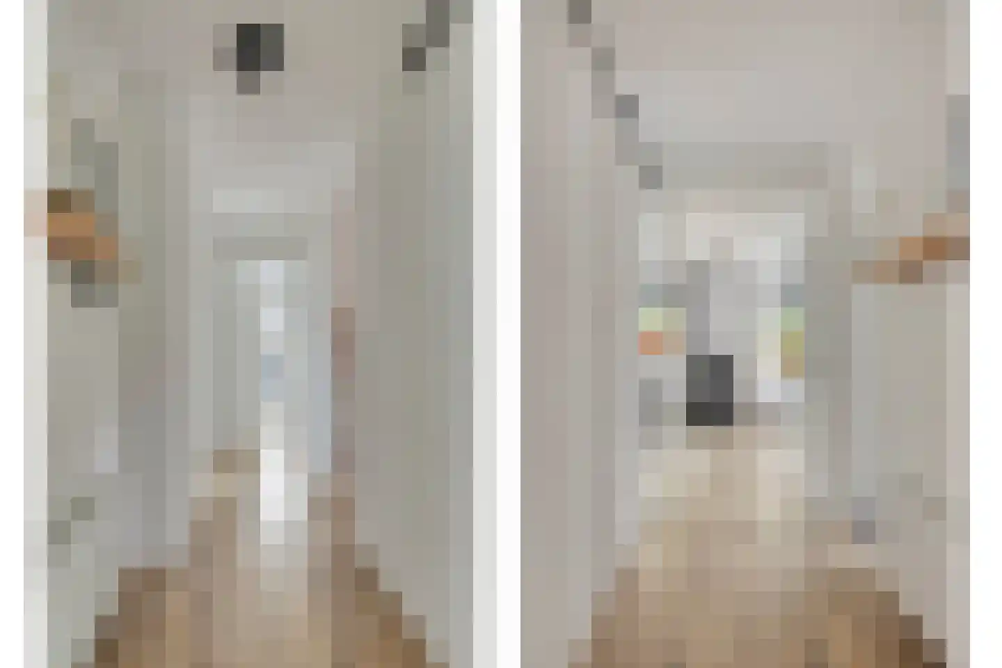 Veenweg 23 Beerta thumbnail 9