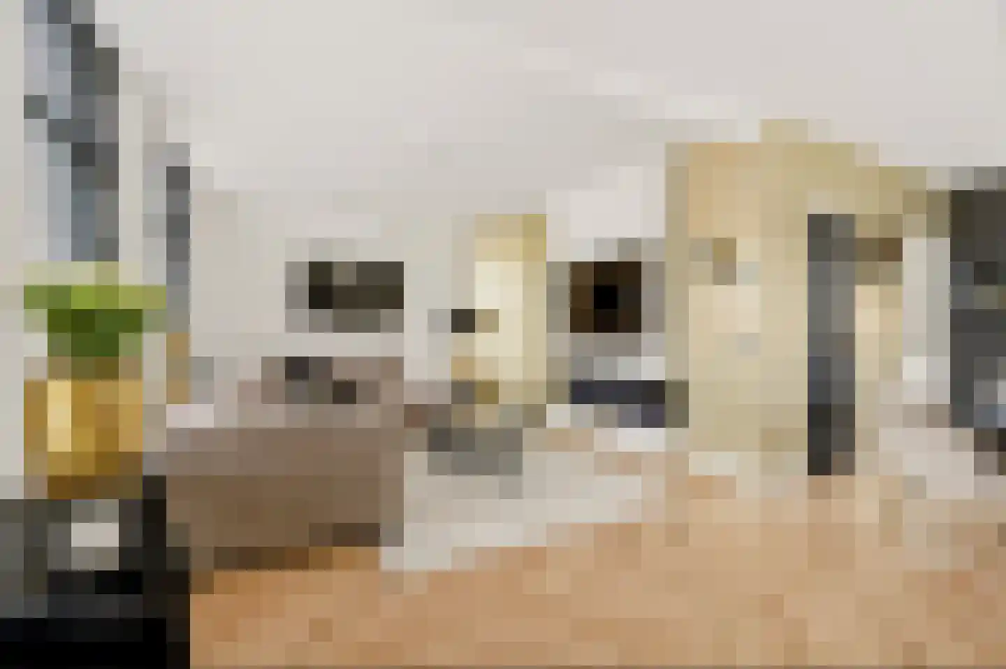 Veenweg 24 Apeldoorn thumbnail 11