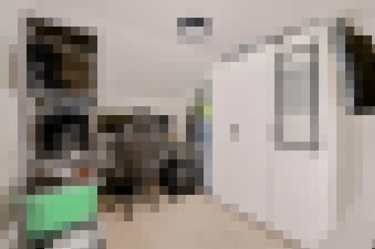 Veenweg 24 Apeldoorn thumbnail 19
