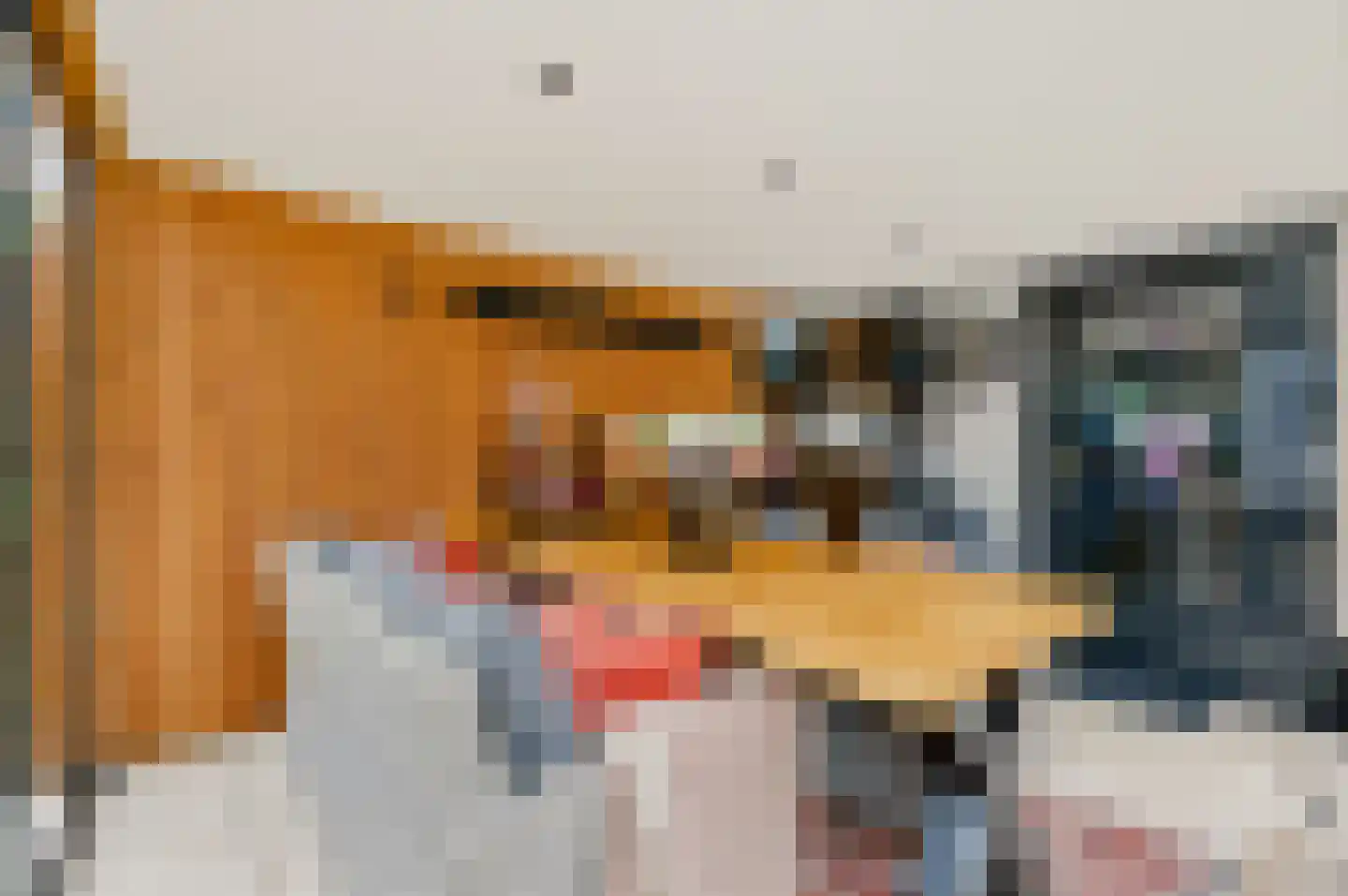Veenweg 24 Apeldoorn thumbnail 22