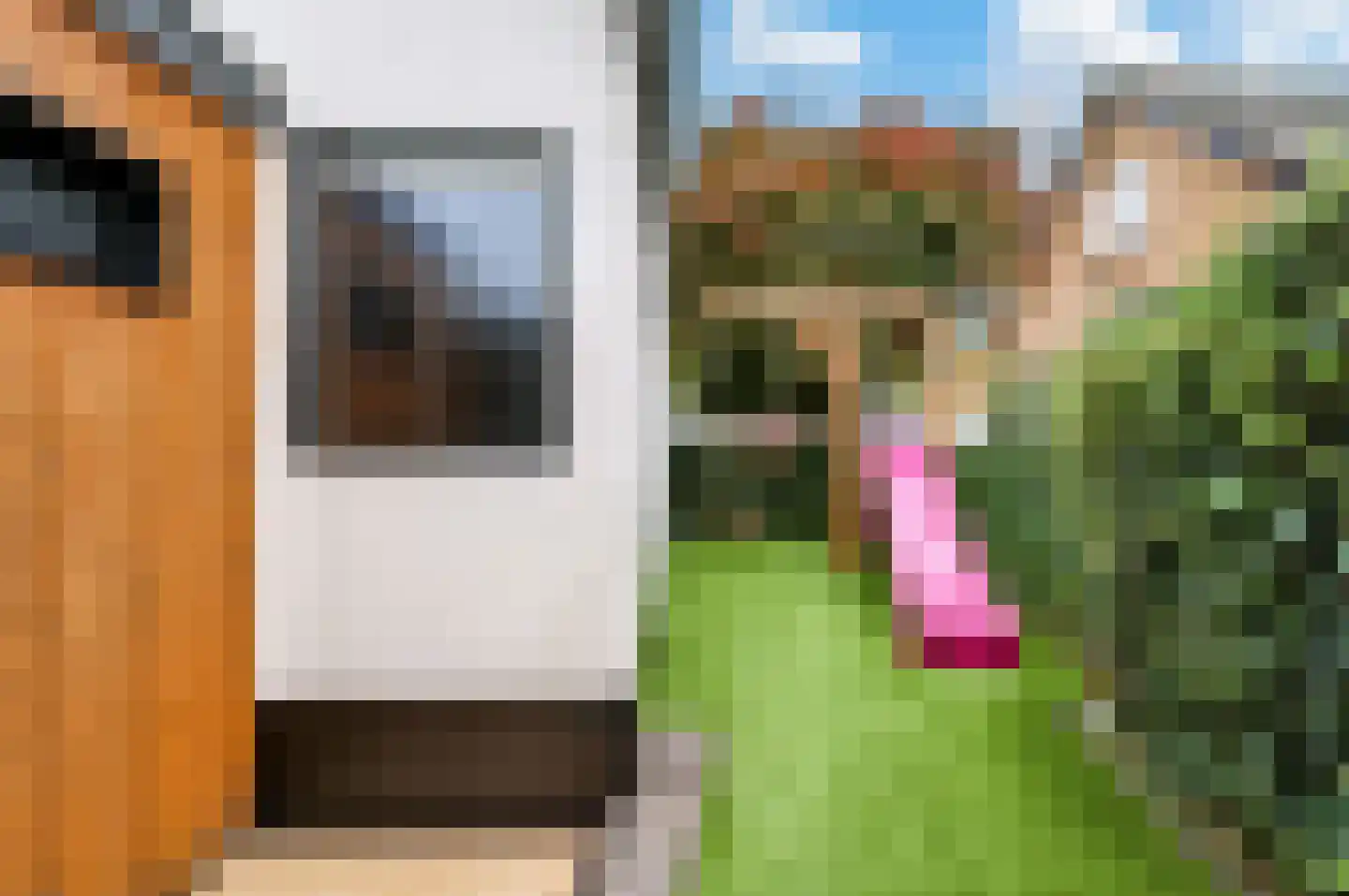 Veenweg 24 Apeldoorn thumbnail 24