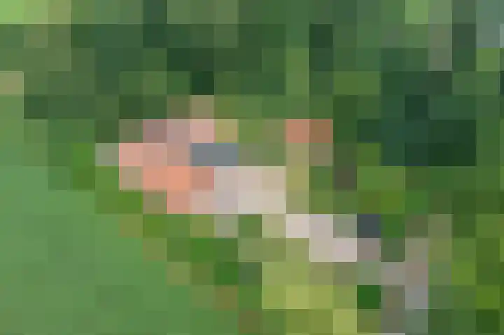 Veenweg 24 Westerlee thumbnail 10