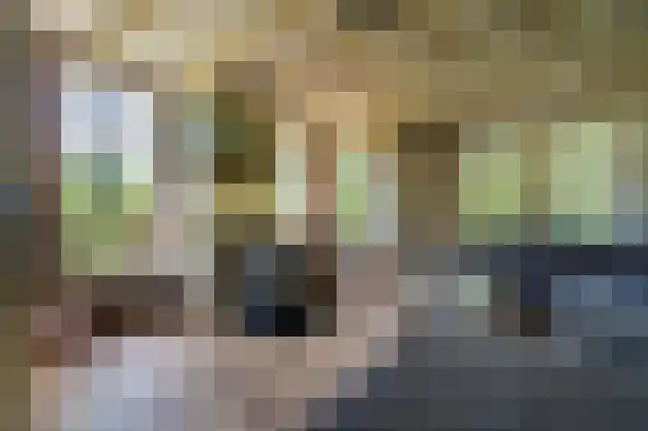 Veenweg 24 Westerlee thumbnail 12