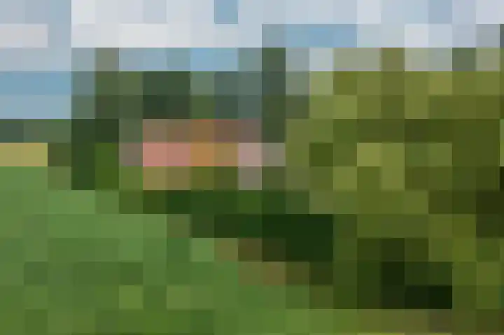 Veenweg 24 Westerlee thumbnail 32