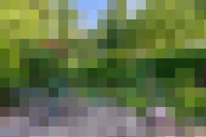 Veenweg 24 Westerlee thumbnail 35