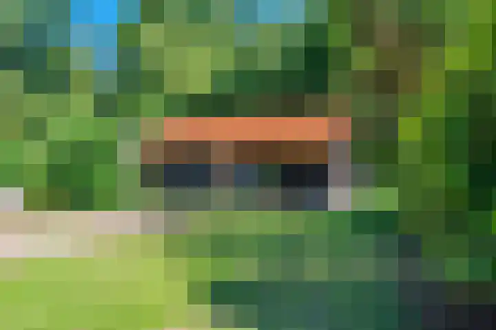 Veenweg 24 Westerlee thumbnail 36