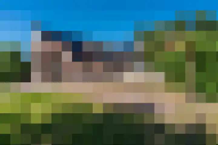 Veenweg 24 Westerlee thumbnail 38