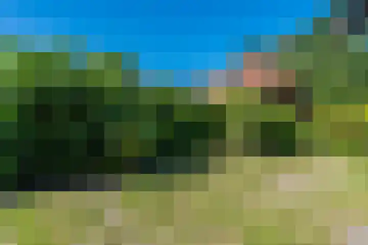 Veenweg 24 Westerlee thumbnail 39