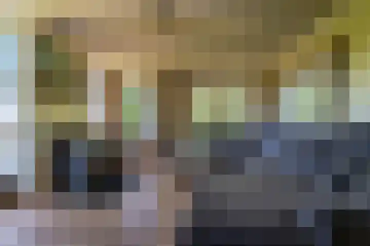 Veenweg 24 Westerlee thumbnail 4