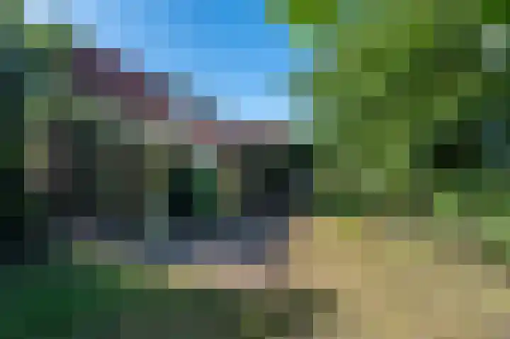 Veenweg 24 Westerlee thumbnail 41