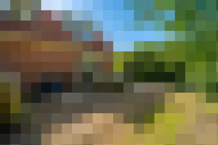 Veenweg 24 Westerlee thumbnail 42