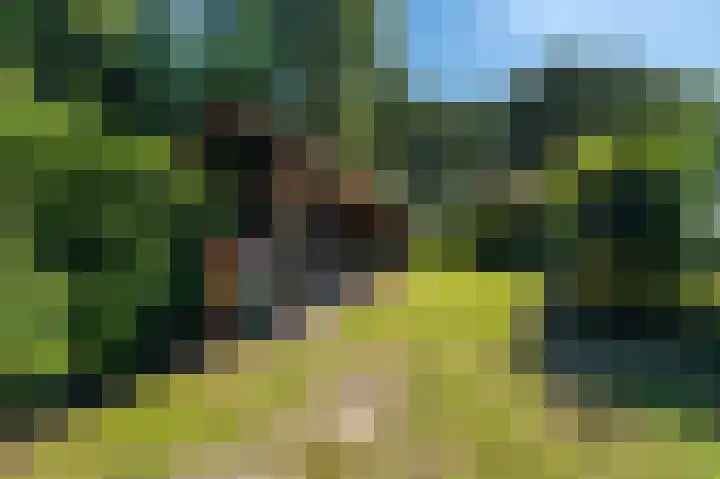 Veenweg 24 Westerlee thumbnail 43