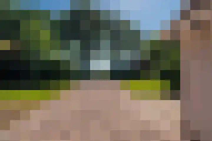 Veenweg 24 Westerlee thumbnail 45