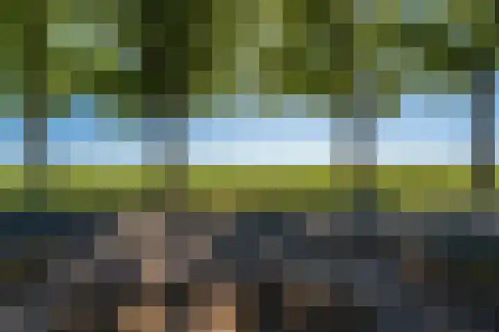 Veenweg 24 Westerlee thumbnail 46