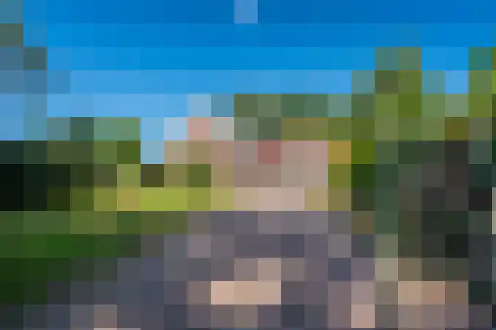 Veenweg 24 Westerlee thumbnail 5