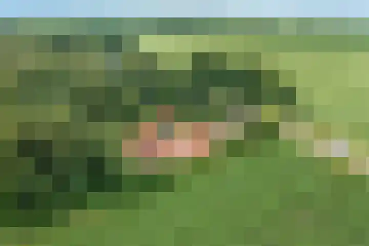Veenweg 24 Westerlee thumbnail 52
