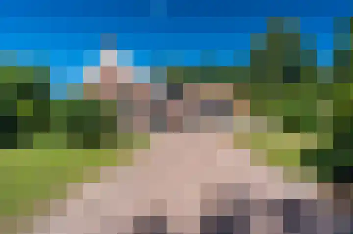 Veenweg 24 Westerlee thumbnail 6