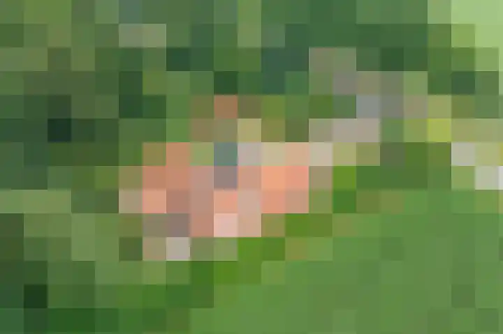 Veenweg 24 Westerlee thumbnail 7