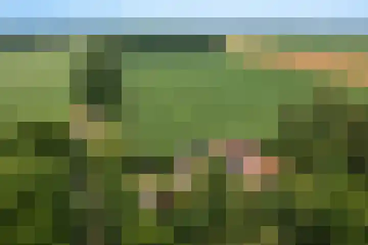 Veenweg 24 Westerlee thumbnail 8