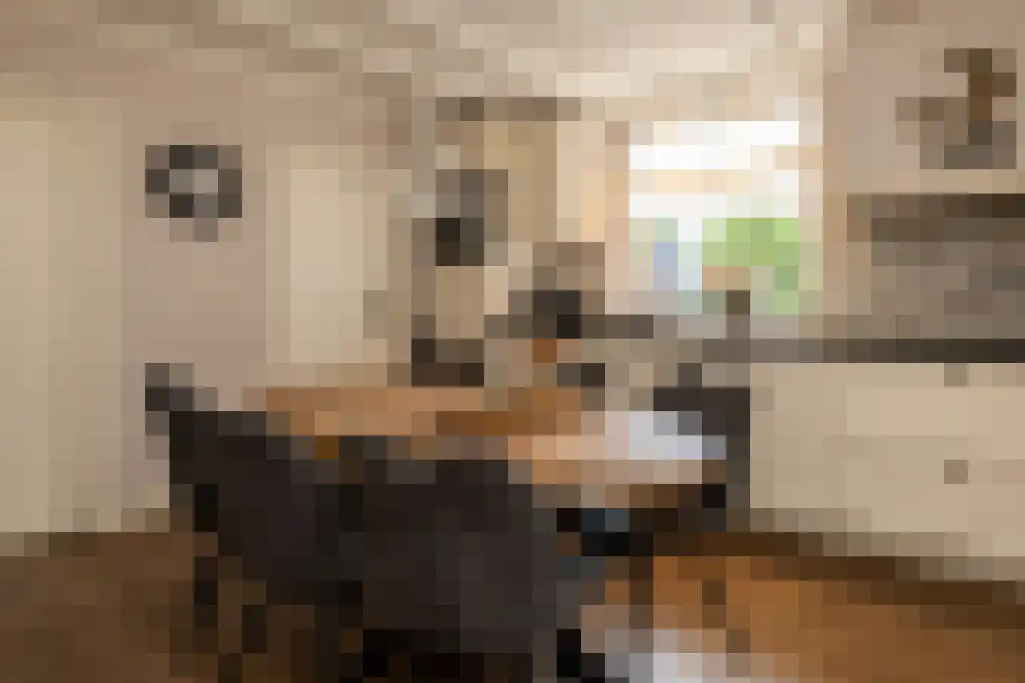 Veenweg 28 Elspeet thumbnail 17