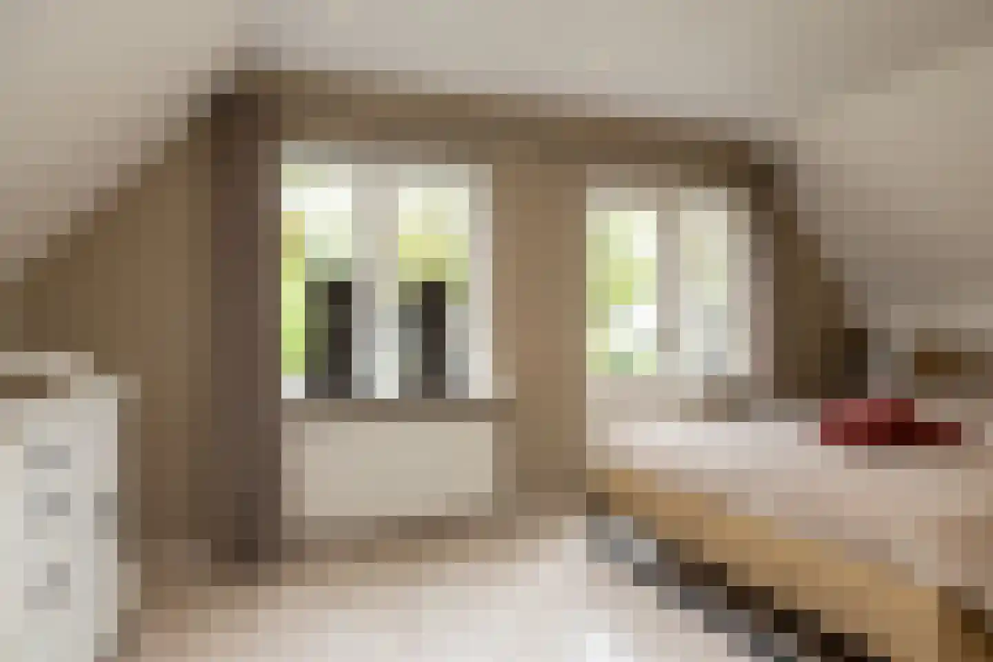 Veenweg 28 Elspeet thumbnail 33