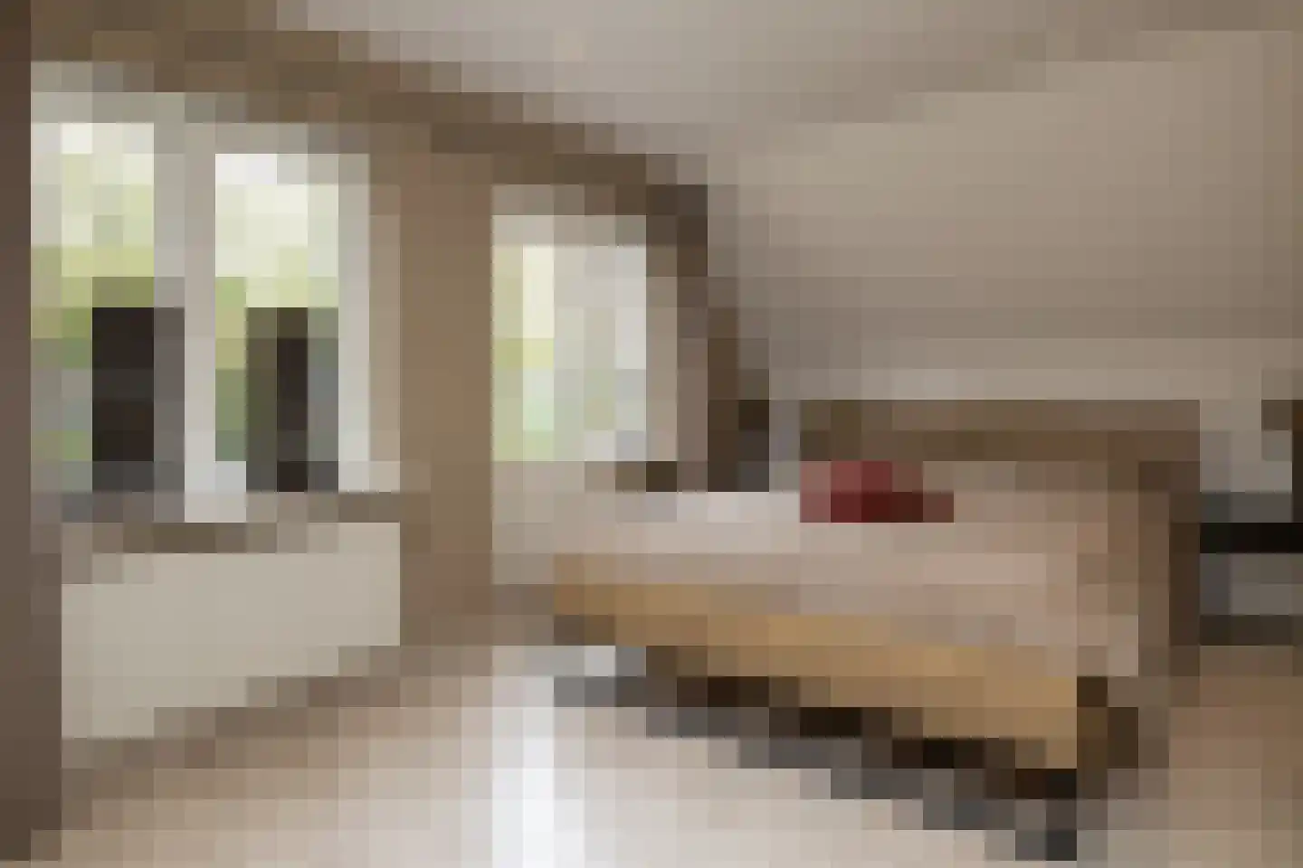 Veenweg 28 Elspeet thumbnail 34